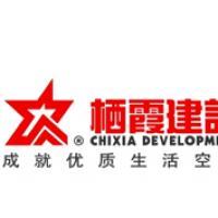 棲霞建設董事會決議公告 選舉江勁松為董事長、總裁及投資興辦實業